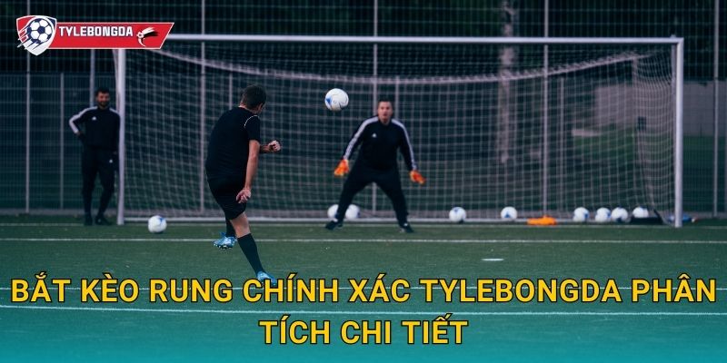 Bắt kèo rung chính xác Tylebongda – Kinh nghiệm chốt kèo live hiệu quả nhất 2 Bắt kèo rung chính xác Tylebongda phân tích chi tiết