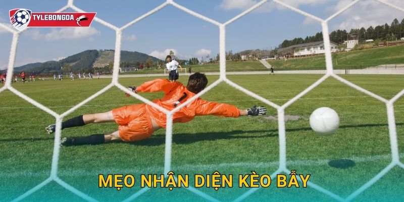 Mẹo nhận diện kèo bẫy Tylebongda – Tránh rủi ro và tăng tỷ lệ thắng 1 Mẹo nhận diện kèo bẫy Tylebongda – Tránh rủi ro và tăng tỷ lệ thắng