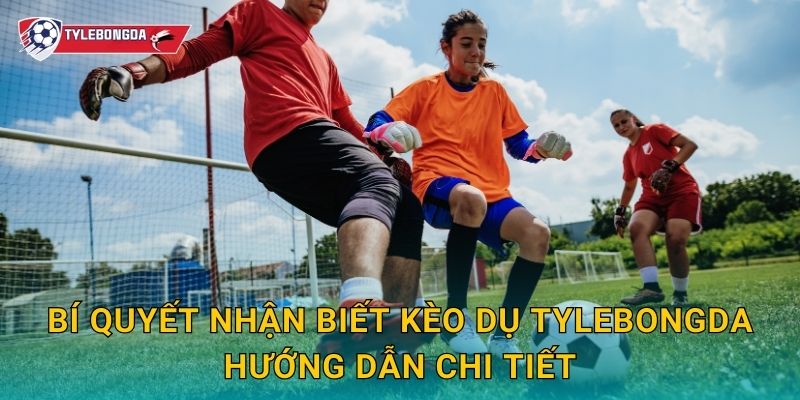 Bí quyết nhận biết kèo dụ Tylebongda – Kinh nghiệm tránh bẫy nhà cái 2 Bí quyết nhận biết kèo dụ Tylebongda hướng dẫn chi tiết