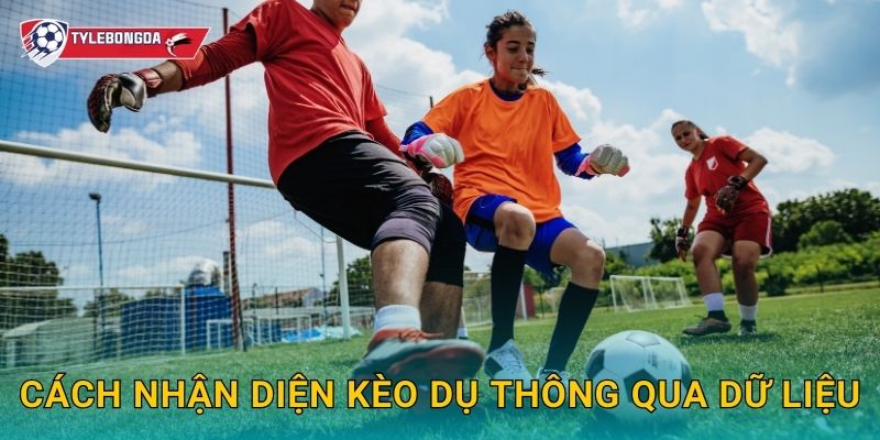 Bí quyết nhận biết kèo dụ Tylebongda – Kinh nghiệm tránh bẫy nhà cái 3 Cách nhận diện kèo dụ thông qua dữ liệu
