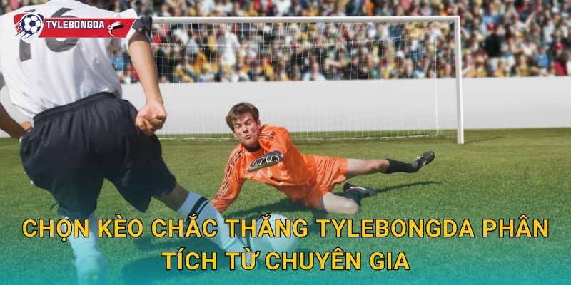 Chọn kèo chắc thắng Tylebongda – Mẹo nâng cao tỷ lệ thành công 2 Chọn kèo chắc thắng Tylebongda phân tích từ chuyên gia