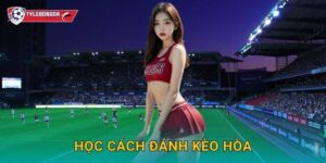 Học cách đánh kèo hòa Tylebongda – Bí quyết tăng lợi nhuận từ cửa đặc biệt