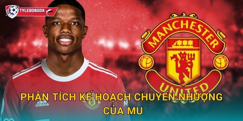 Chuyển nhượng MU Tylebongda – Tin đồn và thương vụ nóng nhất hè này 3 Phân tích kế hoạch chuyển nhượng của MU
