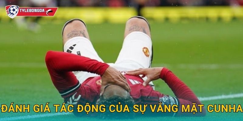 Matheus Cunha chấn thương Tylebongda – Wolves nhận cú sốc trước mùa giải mới 3 Đánh giá tác động của sự vắng mặt Cunha