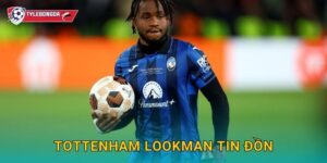 Tottenham Lookman tin đồn Tylebongda – Gà trống săn chữ ký ngôi sao Atalanta