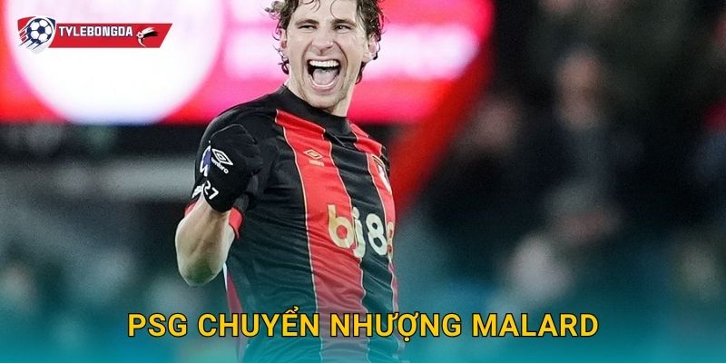 PSG chuyển nhượng Malard Tylebongda – Thương vụ tái thiết hàng công mùa giải mới 1 PSG chuyển nhượng Malard Tylebongda – Thương vụ tái thiết hàng công mùa giải mới