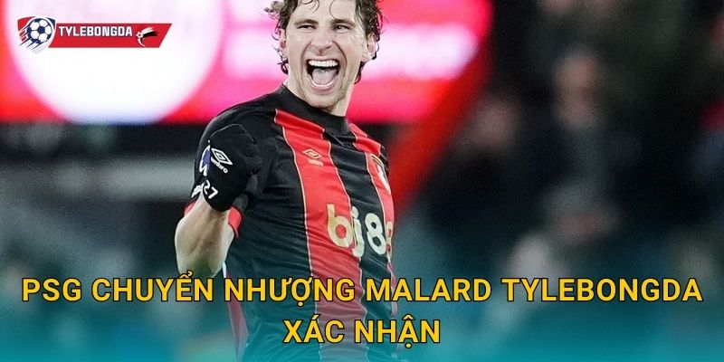 PSG chuyển nhượng Malard Tylebongda – Thương vụ tái thiết hàng công mùa giải mới 2 PSG chuyển nhượng Malard Tylebongda xác nhận